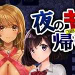 晚上危险的回家路 ver2.00 精翻汉化版 PC+安卓+存档 RPG游戏 950M