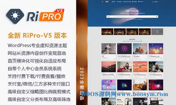 WordPress虚拟资源商城主题RiPro-V5开心无限制版V6.4.0